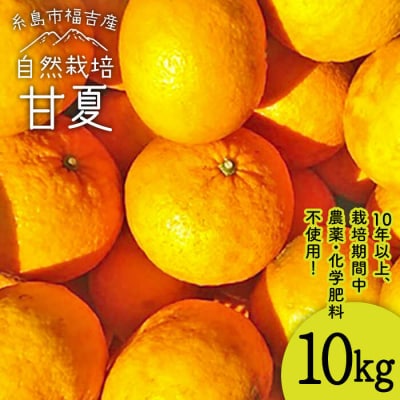 甘夏10kg【栽培期間中農薬・化学肥料不使用】 糸島市/大石ファーム[ATE004]