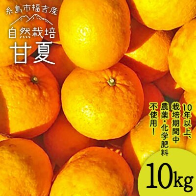 甘夏10kg【栽培期間中農薬・化学肥料不使用】 糸島市/大石ファーム[ATE004]