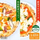 【全12回定期便】薪窯焼きピッツァ4枚セット(野菜ピザ2枚/マルゲリータ2枚)[AUH050]