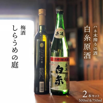 ハネ木搾りの酒と梅酒のセットしらうめ「香」 糸島市/白糸酒造[AVA003]