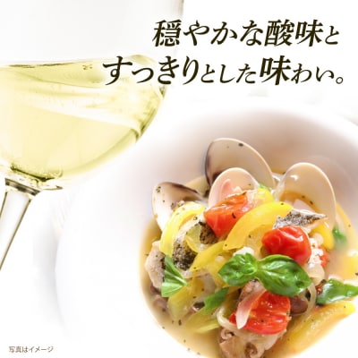 【糸島マスエワイナリ】STILL 甲州 1本 糸島市/いとしのいとしま/[AEP004]