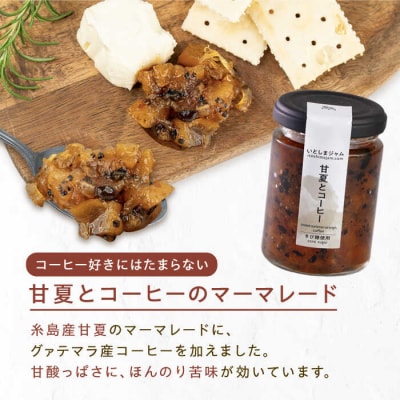 ベジタブル ジャム 詰め合わせ 3個 セット 糸島市/いとしまジャム[AVF001]