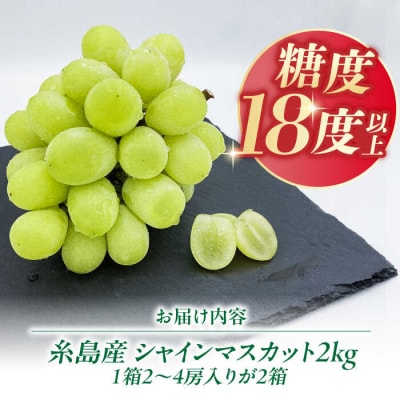 【糖度18度以上】糸島産 シャインマスカット 2kg 糸島市/和饗エコファーム[AVI007]