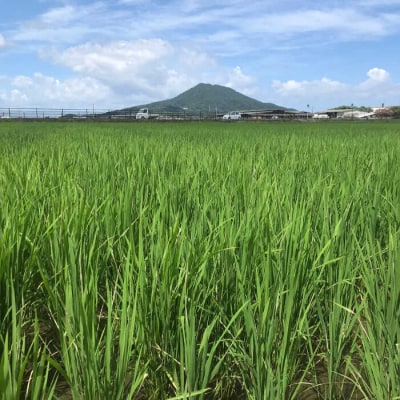 【白米・玄米から選択】夢つくし10kg(5kg×2袋) 糸島パッションフルーツ工房[AVK002]