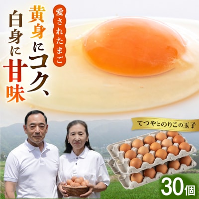 【年内発送】【30個】黄身にコク!白身に甘み!てつやとのりこの玉子 板垣ファーム [AWD001]