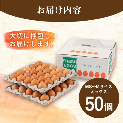 【年内発送】【50個】黄身にコク!白身に甘み!てつやとのりこの玉子 板垣ファーム [AWD002]
