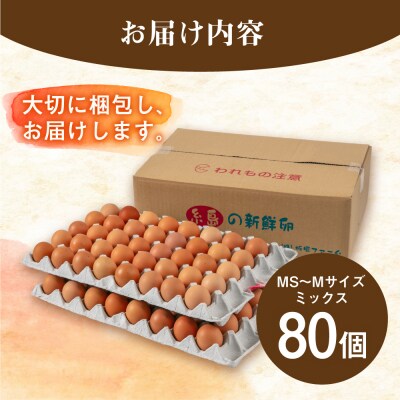 【年内発送】【80個】黄身にコク!白身に甘み!てつやとのりこの玉子 板垣ファーム [AWD003]