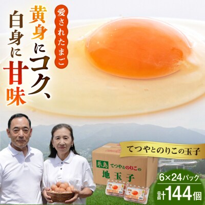 【年内発送】黄身にコク!白身に甘み!てつやとのりこの玉子144個(6個入×24P) [AWD004]