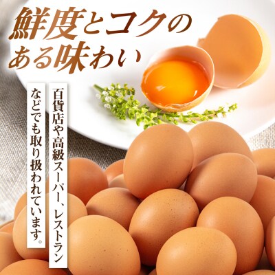 【年内発送】黄身にコク!白身に甘み!てつやとのりこの玉子144個(6個入×24P) [AWD004]