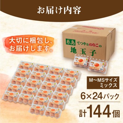 【年内発送】黄身にコク!白身に甘み!てつやとのりこの玉子144個(6個入×24P) [AWD004]