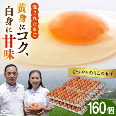 【年内発送】【160個】黄身にコク!白身に甘み!てつやとのりこの玉子 板垣ファーム [AWD005]
