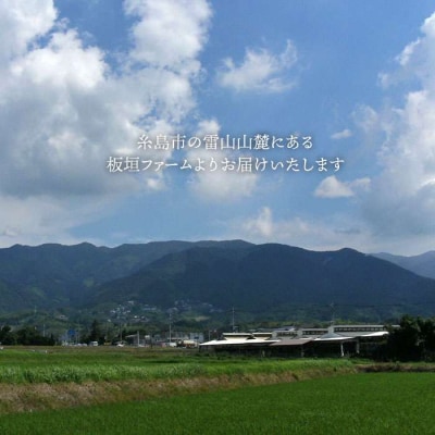 てつやとのりこの玉子【160個】《糸島》【板垣ファーム】[AWD005]