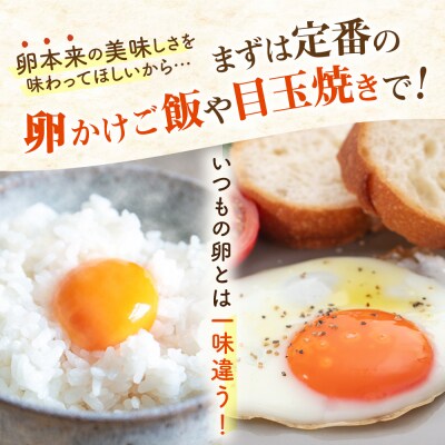 【160個】黄身にコク!白身に甘み!てつやとのりこの玉子 板垣ファーム [AWD005]