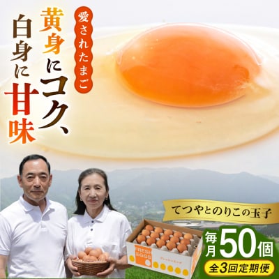 【全3回定期便】【50個×3ヶ月】黄身にコク!白身に甘み!てつやとのりこの玉子 [AWD007]