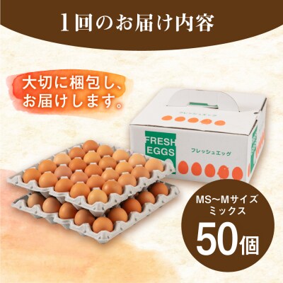 【全3回定期便】【50個×3ヶ月】黄身にコク!白身に甘み!てつやとのりこの玉子 [AWD007]