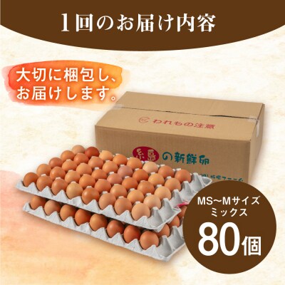 【全3回定期便】【80個×3ヶ月】黄身にコク!白身に甘み!てつやとのりこの玉子 [AWD008]