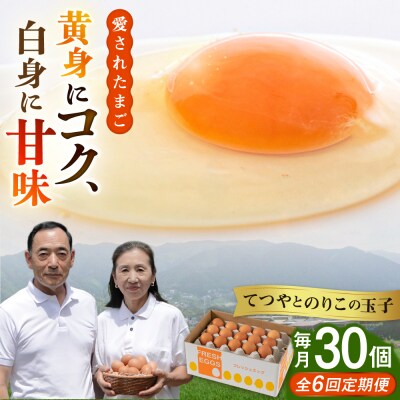 【全6回定期便】【30個×6ヶ月】黄身にコク!白身に甘み!てつやとのりこの玉子 [AWD009]