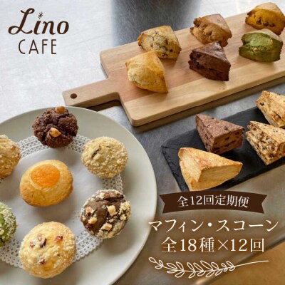 【12回定期便】マフィン・スコーン全18種食べ比べセット《糸島》【LinoCAFE】[AXI004]