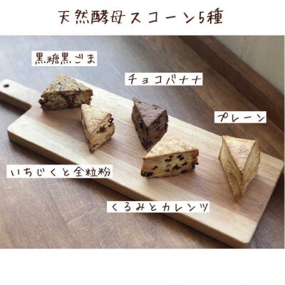 【12回定期便】マフィン・スコーン全18種食べ比べセット《糸島》【LinoCAFE】[AXI004]