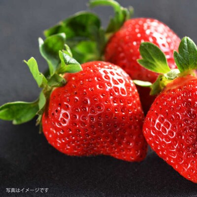 糸島産 あまおう 1箱(800-900g) 糸島市/平山農園[AXN003]