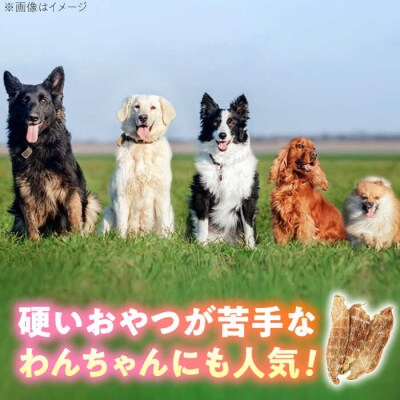 わんこのおやつ(犬)無添加手づくり鶏むねジャーキー5袋 mogmogfactory[AXO001]
