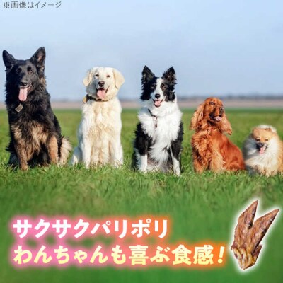 わんこのおやつ無添加手づくり手羽先の先ジャーキー5袋 mogmogfactory[AXO002]