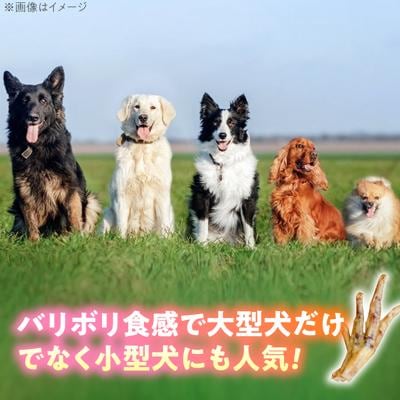わんこのおやつ無添加手づくり鶏のお手手 ジャーキー6袋 mogmogfactory[AXO003]