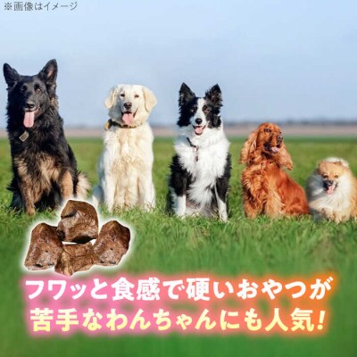 わんこのおやつ(犬)無添加手づくり馬肺ジャーキー5袋 mogmogfactory[AXO004]