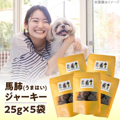 わんこのおやつ(犬)無添加手づくり馬肺ジャーキー5袋 mogmogfactory[AXO004]