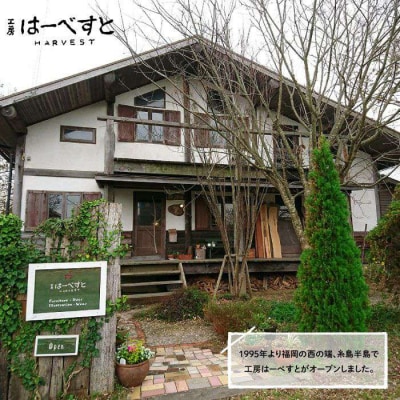 センター テーブル 《糸島》 【工房はーべすと】[AYA005]