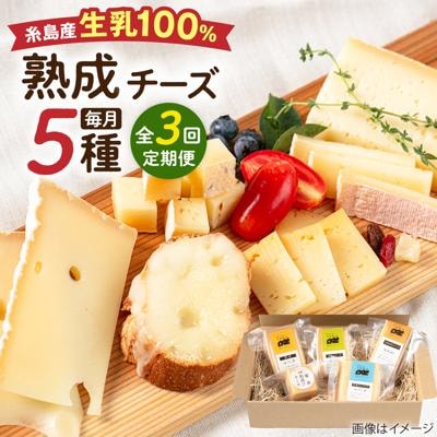 【全3回定期便】糸島産生乳100%使用手作りチーズ5種セット[AYC005]
