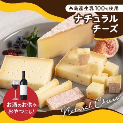 【全3回定期便】糸島産生乳100%使用手作りチーズ5種セット[AYC005]