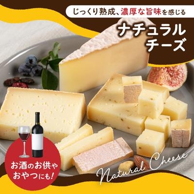 【全3回定期便】糸島産生乳100%使用手作りチーズ5種セット[AYC005]