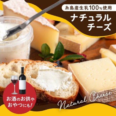 糸島産生乳100%使用手作りチーズ4種 TAKセレクト【ベーシック】[AYC007]