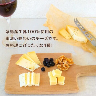 糸島産生乳100%使用手作りチーズ4種TAKセレクト【クッキング】[AYC014]