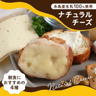 糸島産生乳100%使用手作りチーズ4種TAKセレクト【モーニング】[AYC014]