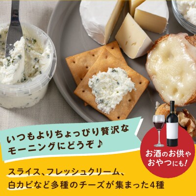 糸島産生乳100%使用手作りチーズ4種TAKセレクト【モーニング】[AYC014]