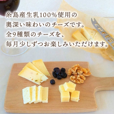 糸島産生乳100%使用手作りチーズ4種TAKセレクト【ワイン】[AYC015]