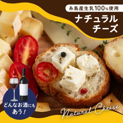 糸島産生乳100%使用手作りチーズ4種TAKセレクト【ワイン】 [AYC015]