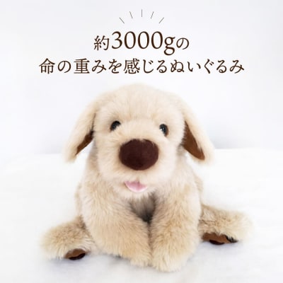 「パトラン」(重たいぬいぐるみ)《糸島》【科学工房未來】[AYI001]