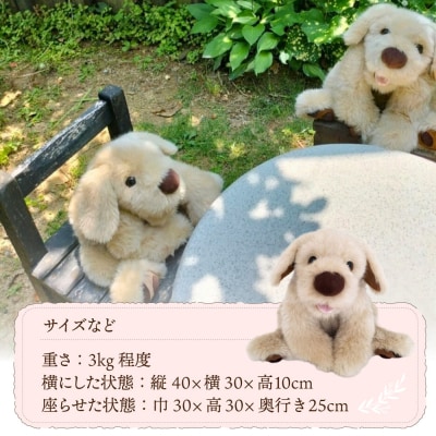 「パトラン」(重たいぬいぐるみ)《糸島》【科学工房未來】[AYI001]