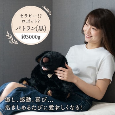 パトランの黒(通称:クロラン)糸島市/科学工房未來[AYI002]