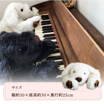 パトランの白(通称:シロラン)糸島市/科学工房未來[AYI003]