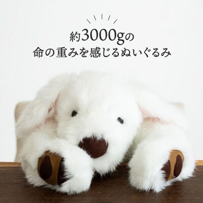 シロラン&クロラン(パトラン2点セット)犬ぬいぐるみ糸島市/科学工房未來[AYI004]