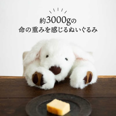 【贈答用】シロラン&クロラン4点セット犬ぬいぐるみ糸島市/科学工房未來[AYI005]