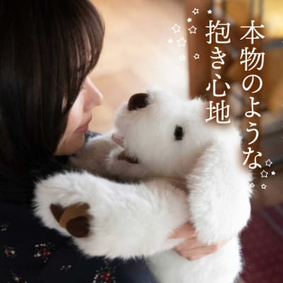 【贈答用】シロラン&クロラン4点セット犬ぬいぐるみ糸島市/科学工房未來[AYI005]