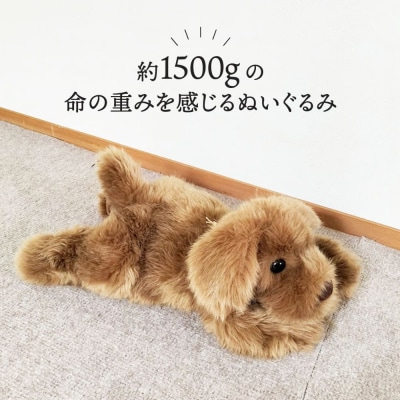 パトランミニ・ブラウン糸島市/科学工房未来犬ペットぬいぐるみ[AYI006]いぬ動物