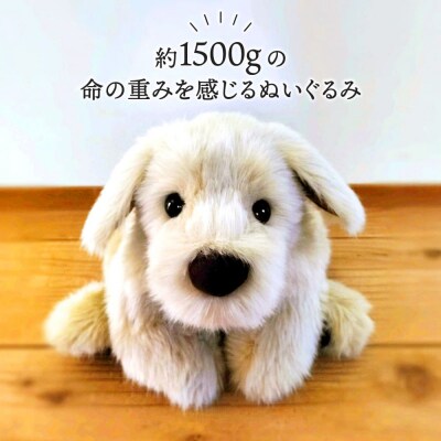 パトランミニ・ナチュラル糸島市/科学工房未来犬ペットぬいぐるみ[AYI007]いぬ動物