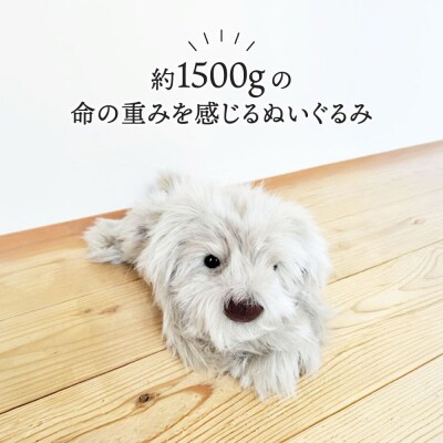 パトランミニ・グレージュ糸島市/科学工房未来パトランぬいぐるみ[AYI008]いぬ動物