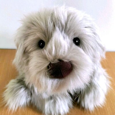 パトランミニ・グレージュ糸島市/科学工房未来パトランぬいぐるみ[AYI008]いぬ動物